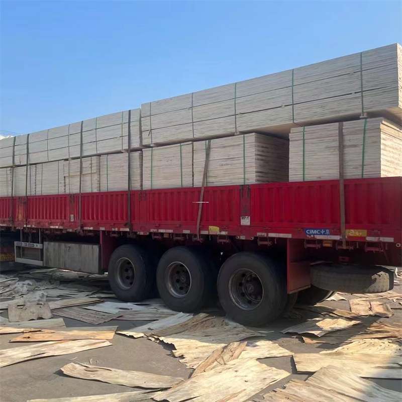 辽宁阜新海州至和田货运专线一站式物流服务，助力商业发展